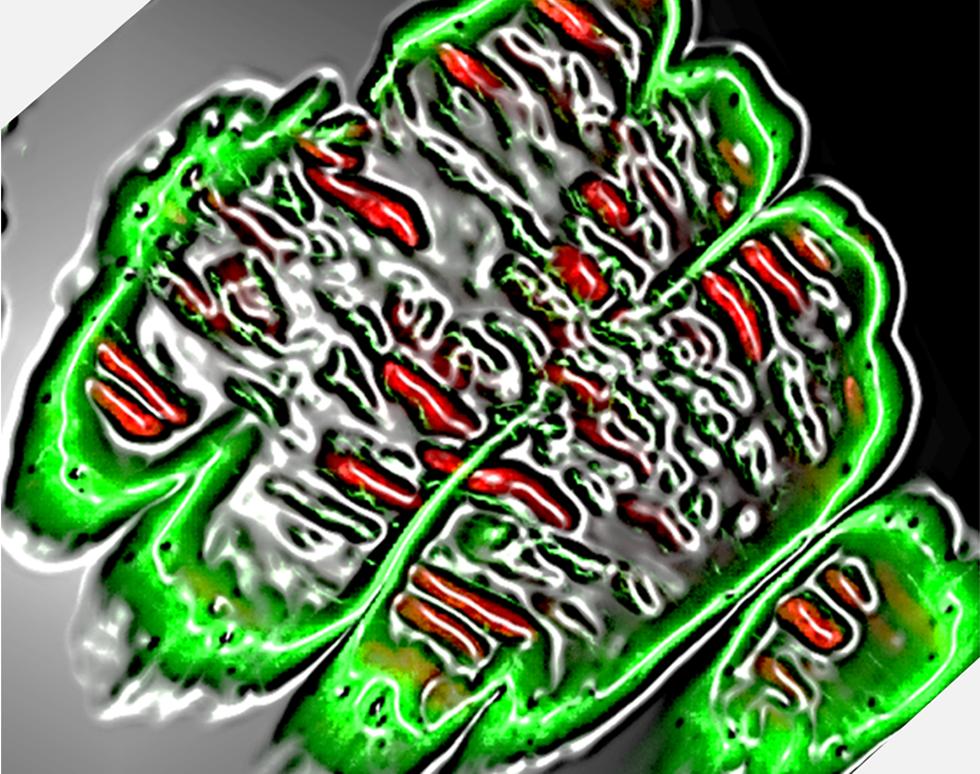 Untitled - Moji Musa